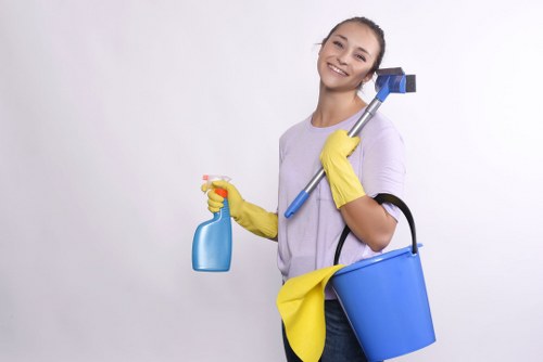 Cleaner preparing a detailed deep cleaning checklist for a Haringey property