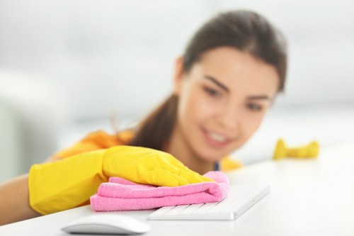 Cleaner maintaining a flat in Haringey with routine tasks