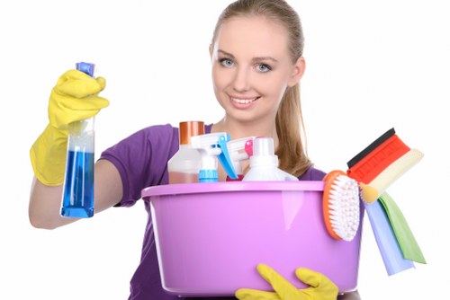 Removing pet odours from upholstery in a Haringey property