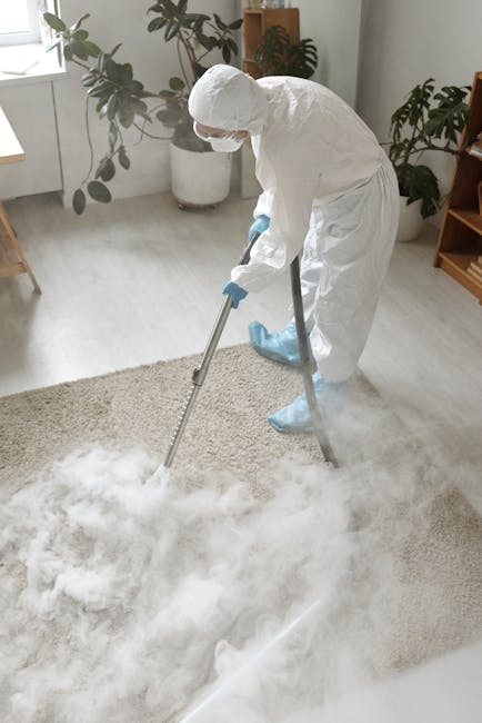 A professional cleaner from Cleaners Haringey, dressed in full protective gear including a white suit, gloves, and face mask, is performing deep carpet cleaning in a well-lit living room. The cleaner is using a steaming or fogging device on a plush, beige carpet, creating a cloud of cleaning vapors. The room features a white-painted wall with large potted plants, a window allowing natural light to illuminate the space, and minimal furniture including a wooden shelf. The surface of the carpet appears fluffy and cleaned, with slight moisture visible. The scene emphasizes thorough surface cleaning and sanitisation as part of domestic cleaning services near Wood Green Haringey, provided by Cleaners Haringey, ensuring a hygienic and fresh environment.